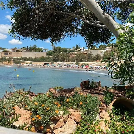 Apartment Luxury Penthouse Oasis Viii Orihuela Costa Punta Prima *